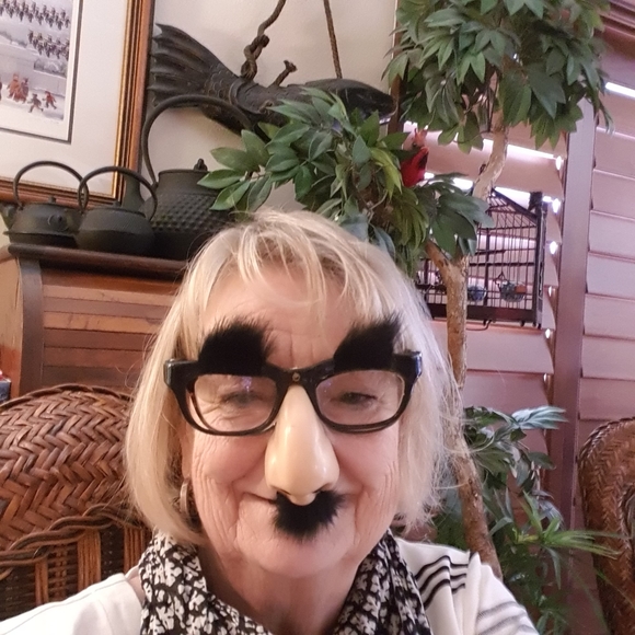 Meet your Poshers, Linda & Carol - Picture 5 of 6